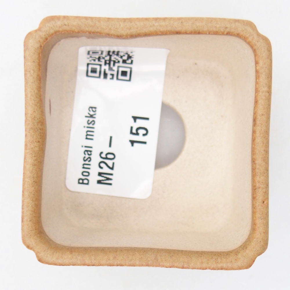 Ciotola per mini bonsai 5 x 5 x 3 cm, marrone