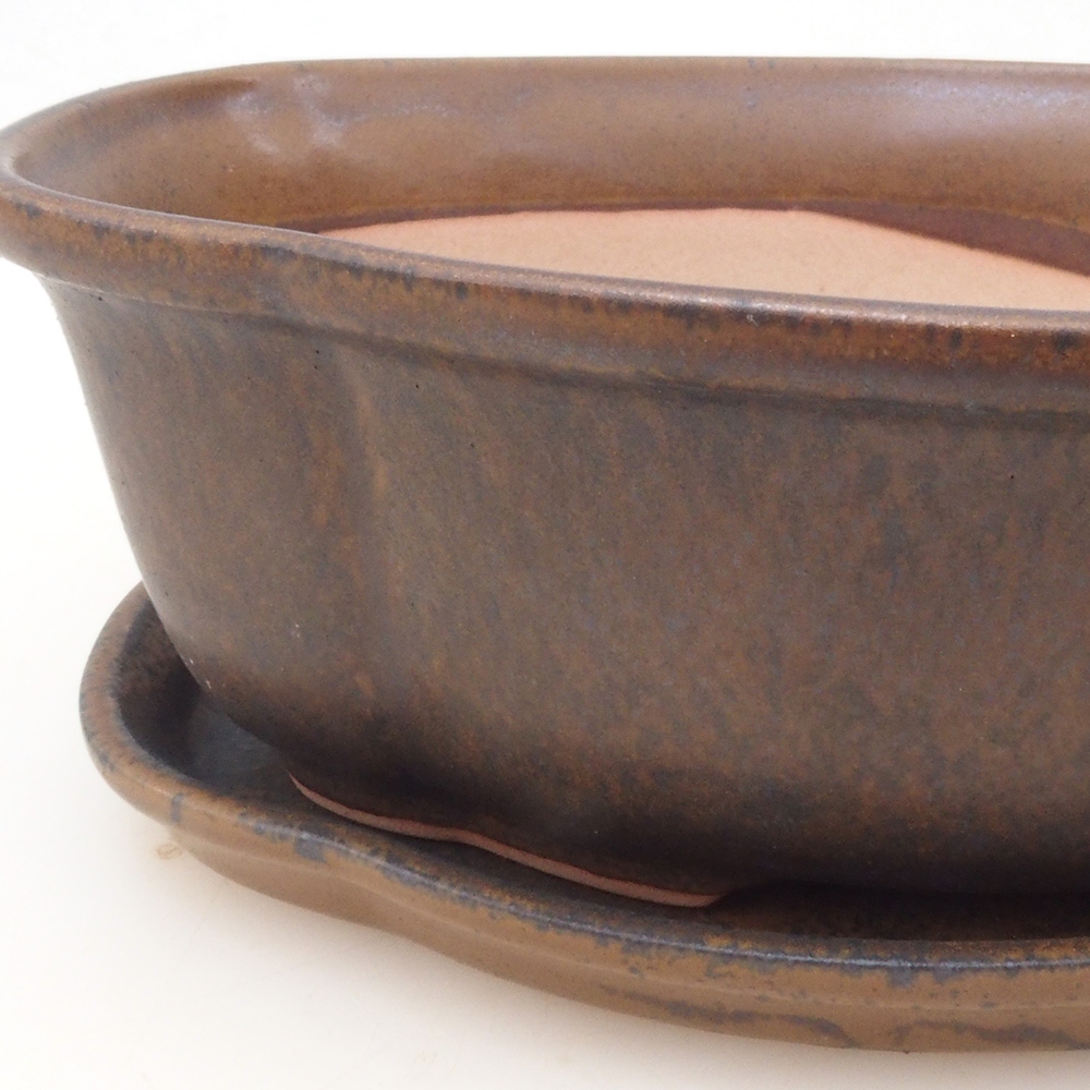 Ciotola bonsai + piattino H75 - marrone