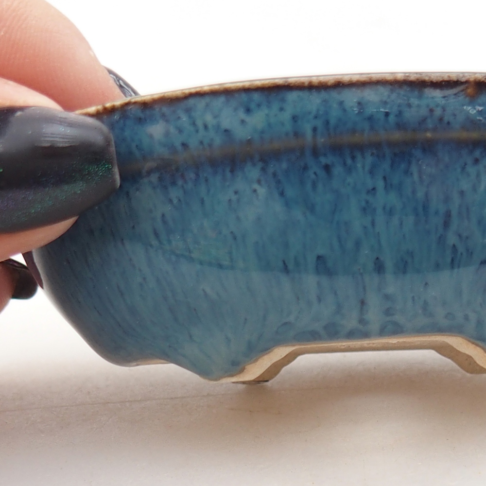 Mini bonsai 7,5 x 5 x 2,5 cm, colore blu