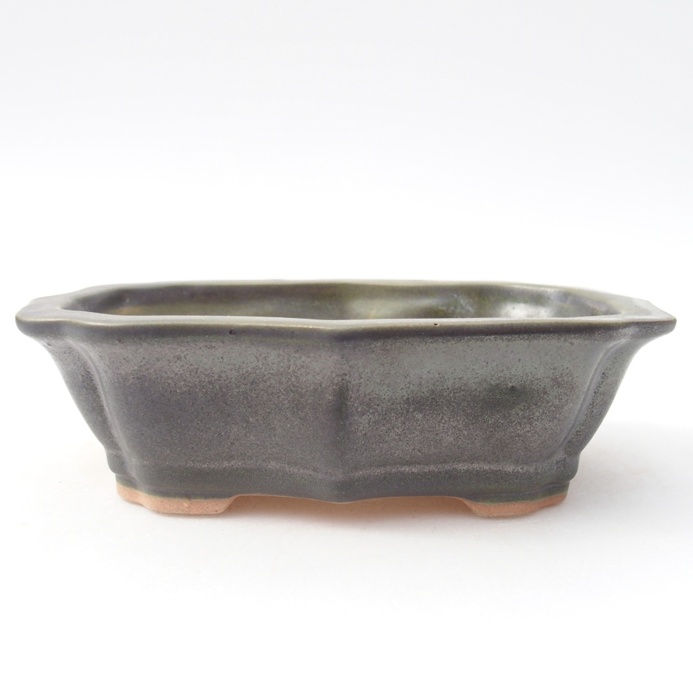 Ciotola bonsai in ceramica 15,5 x 11 x 4,5 cm, verde metallizzato