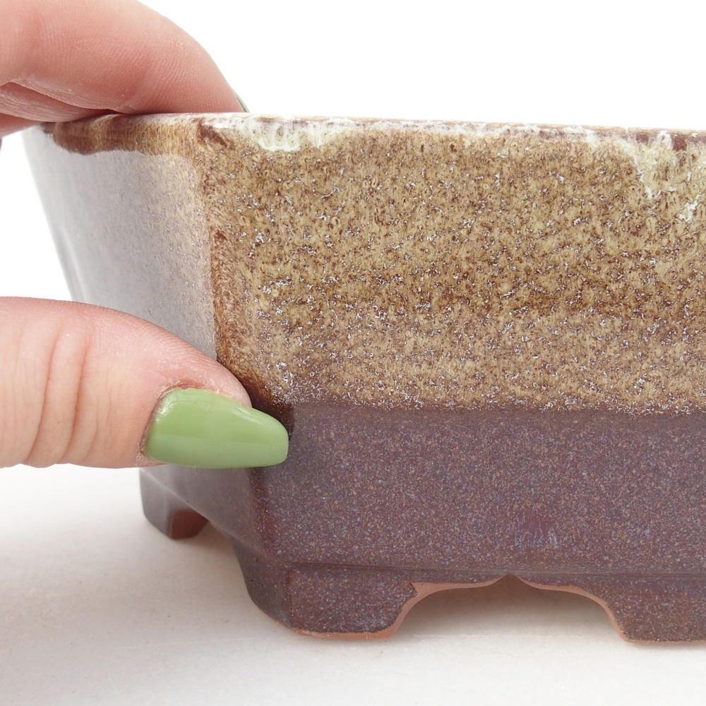 Ciotola 15,5 x 14 x 6,5 cm colore marrone bordeaux