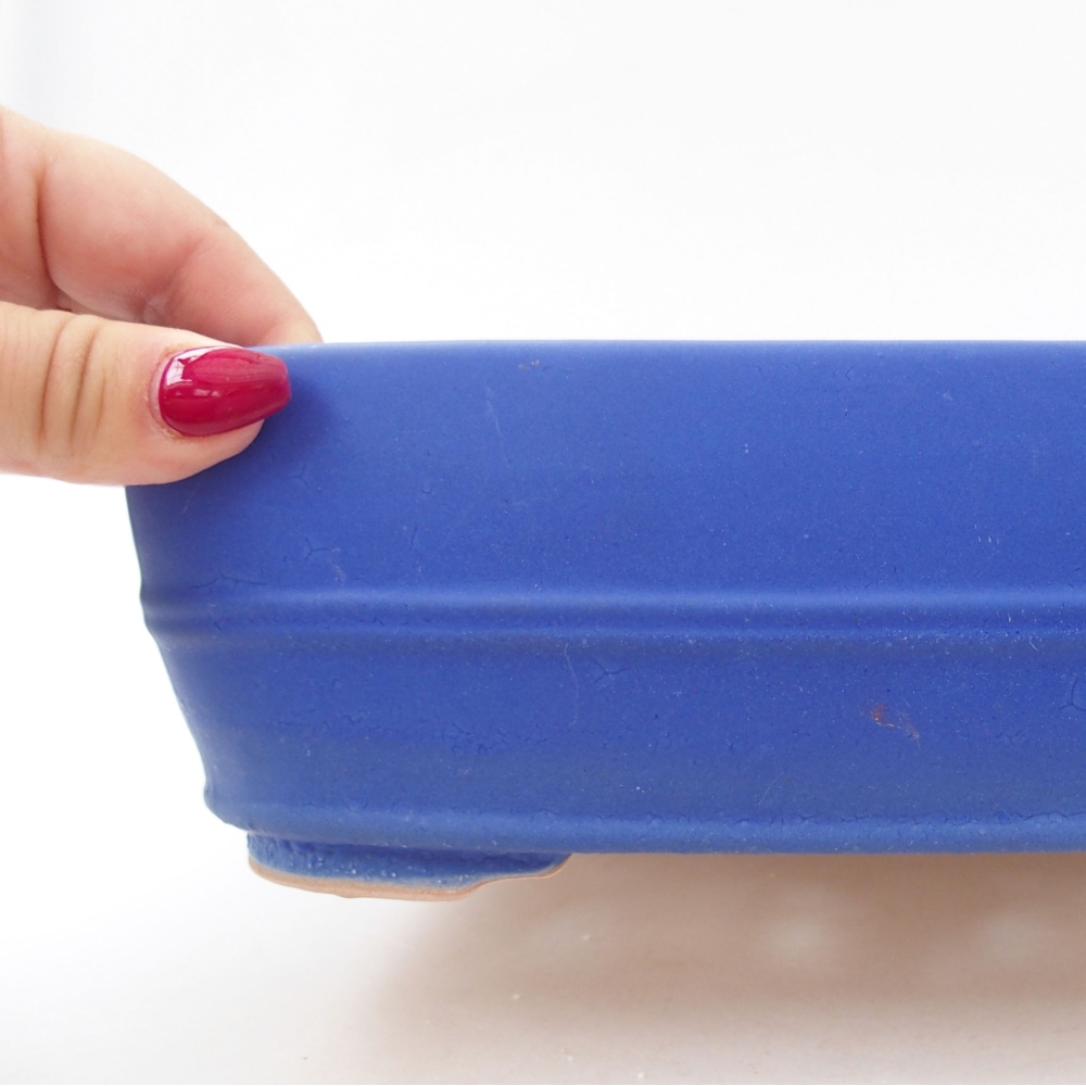 Ciotola bonsai in ceramica 24 x 19 x 7,5 cm, colore blu