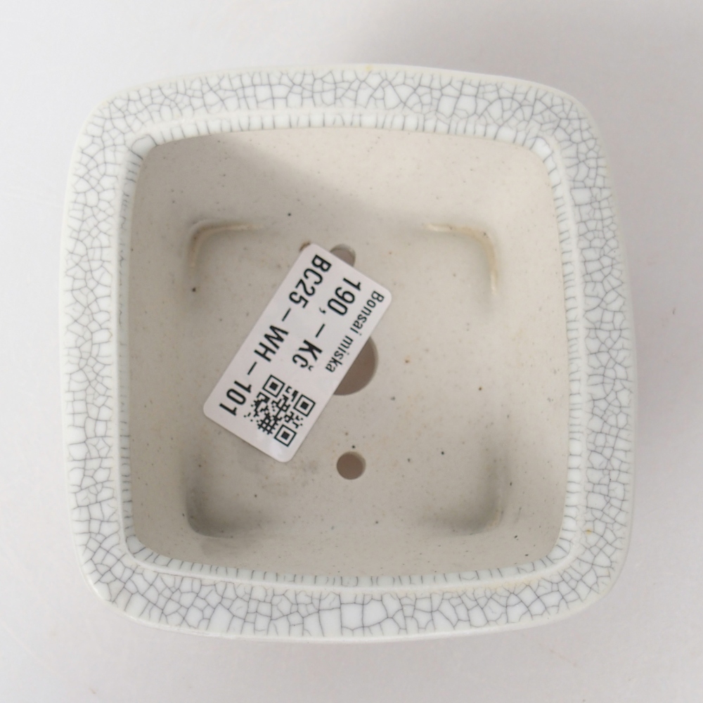 Ciotola bonsai in ceramica 9,5 x 9,5 x 5 cm, colore raku