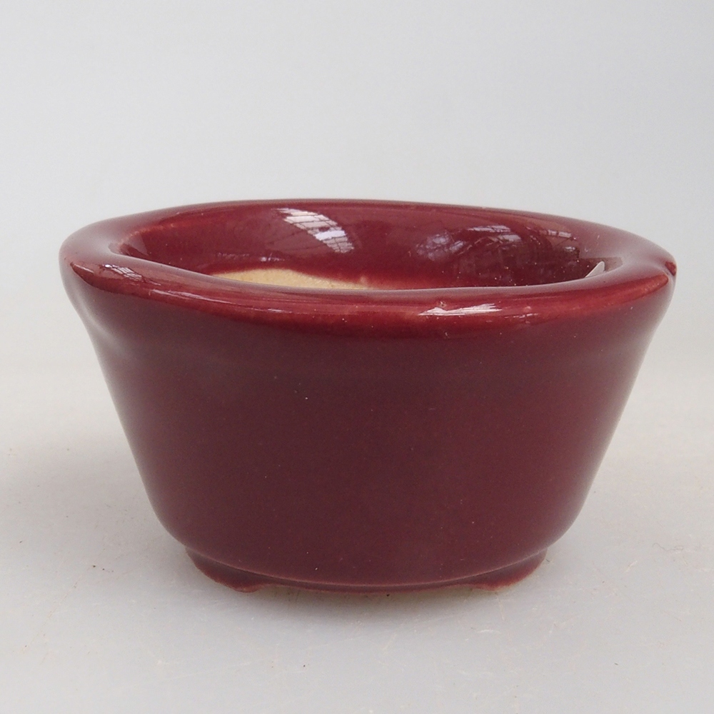 Ciotola per mini bonsai 4 x 4 x 2 cm, bordeaux