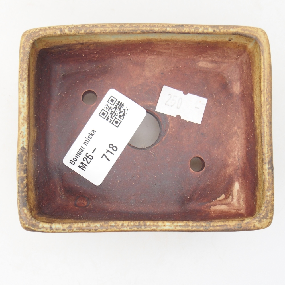 Ciotola per bonsai in ceramica 10 x 8 x 4 cm, verde