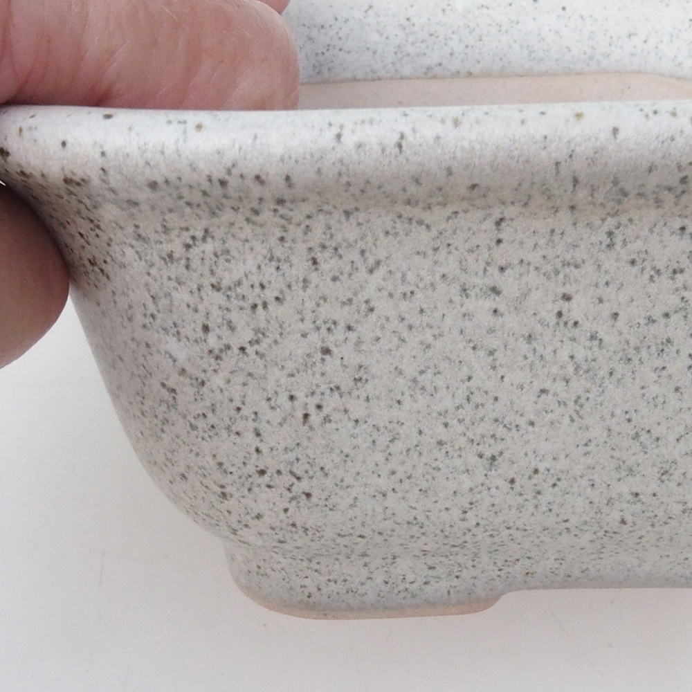 Ciotola per bonsai H38 - 12 x 10 x 5,5 cm - beige