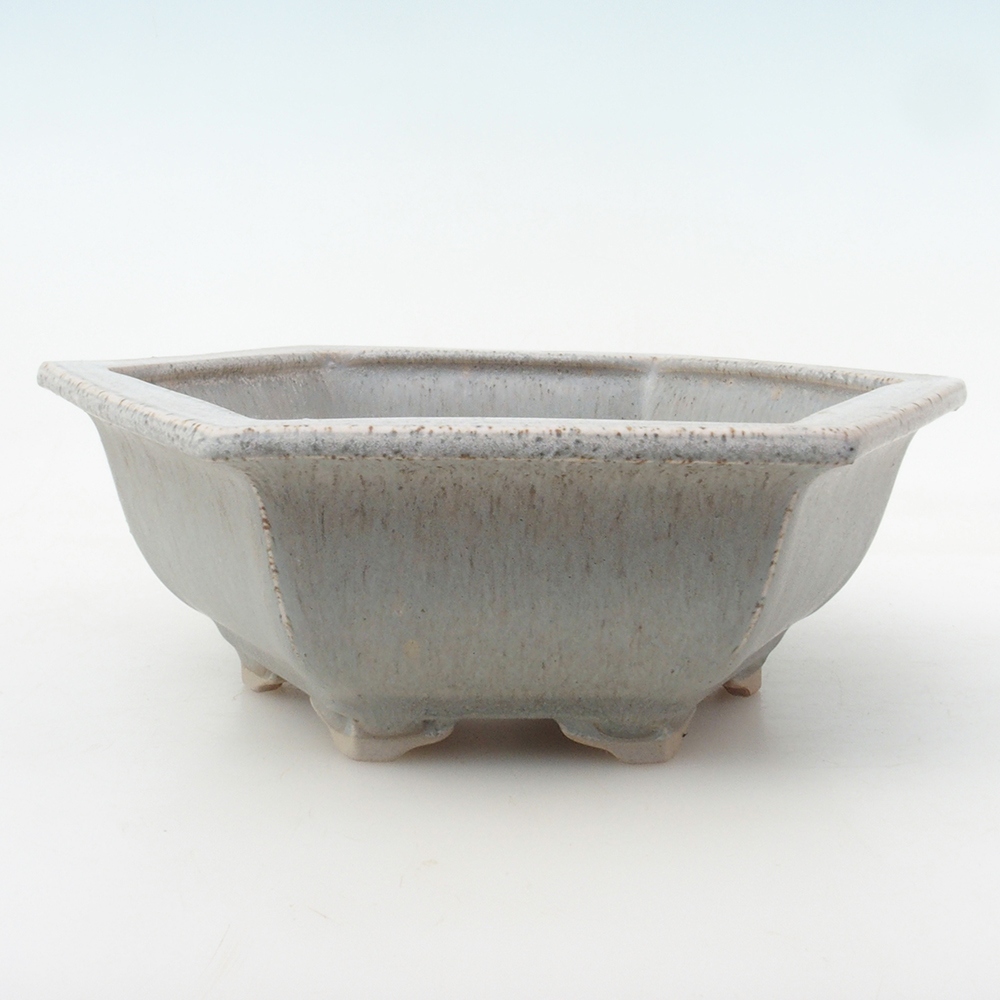 Ciotola bonsai + piattino H53 - 19 x 21,5 x 7 cm - beige