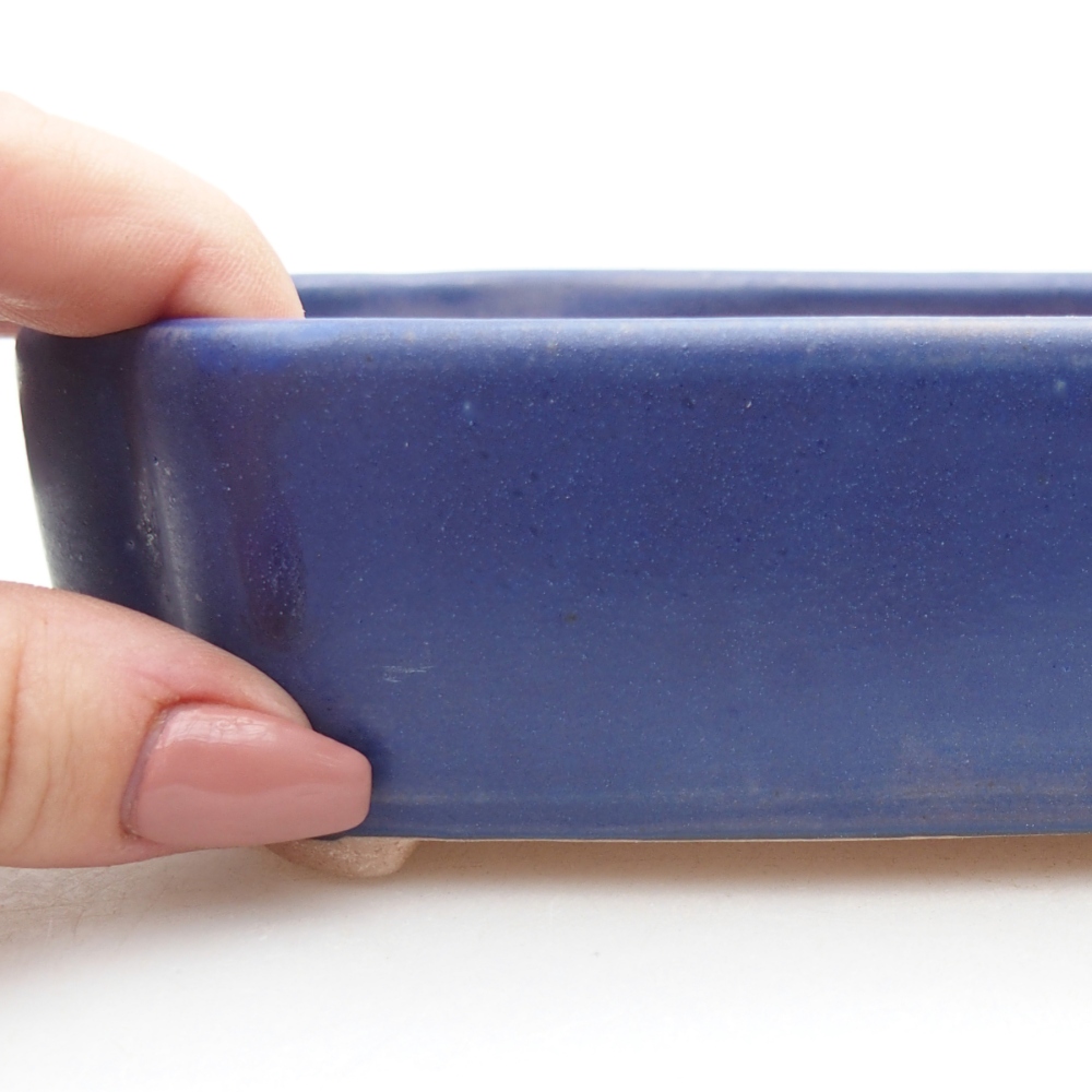 Ciotola per bonsai in ceramica 15,5 x 11,5 x 4 cm, colore blu