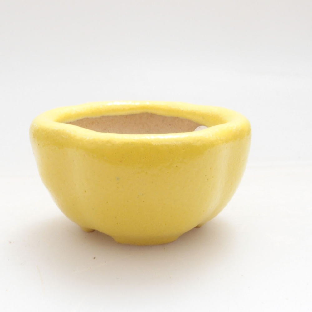 Ciotola per bonsai in ceramica 4 x 4 x 2 cm, giallo