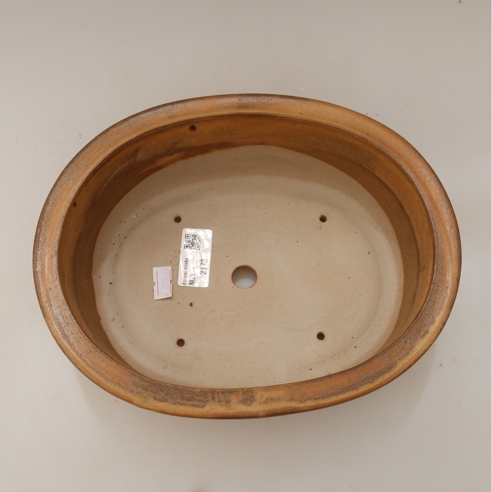Vaso da bonsai in ceramica 23 x 19 x 8 cm, colore beige
