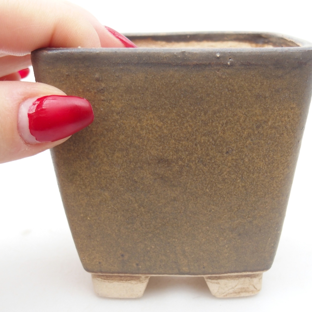 Ciotola per bonsai in ceramica 7,5 x 7,5 x 7,5 cm, marrone