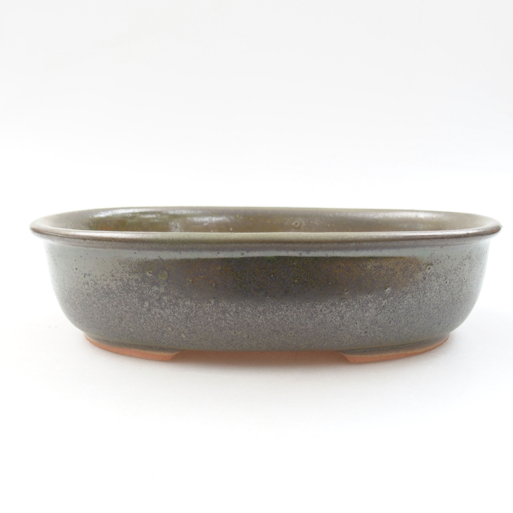 Ciotola bonsai in ceramica 22 x 17 x 5 cm, verde