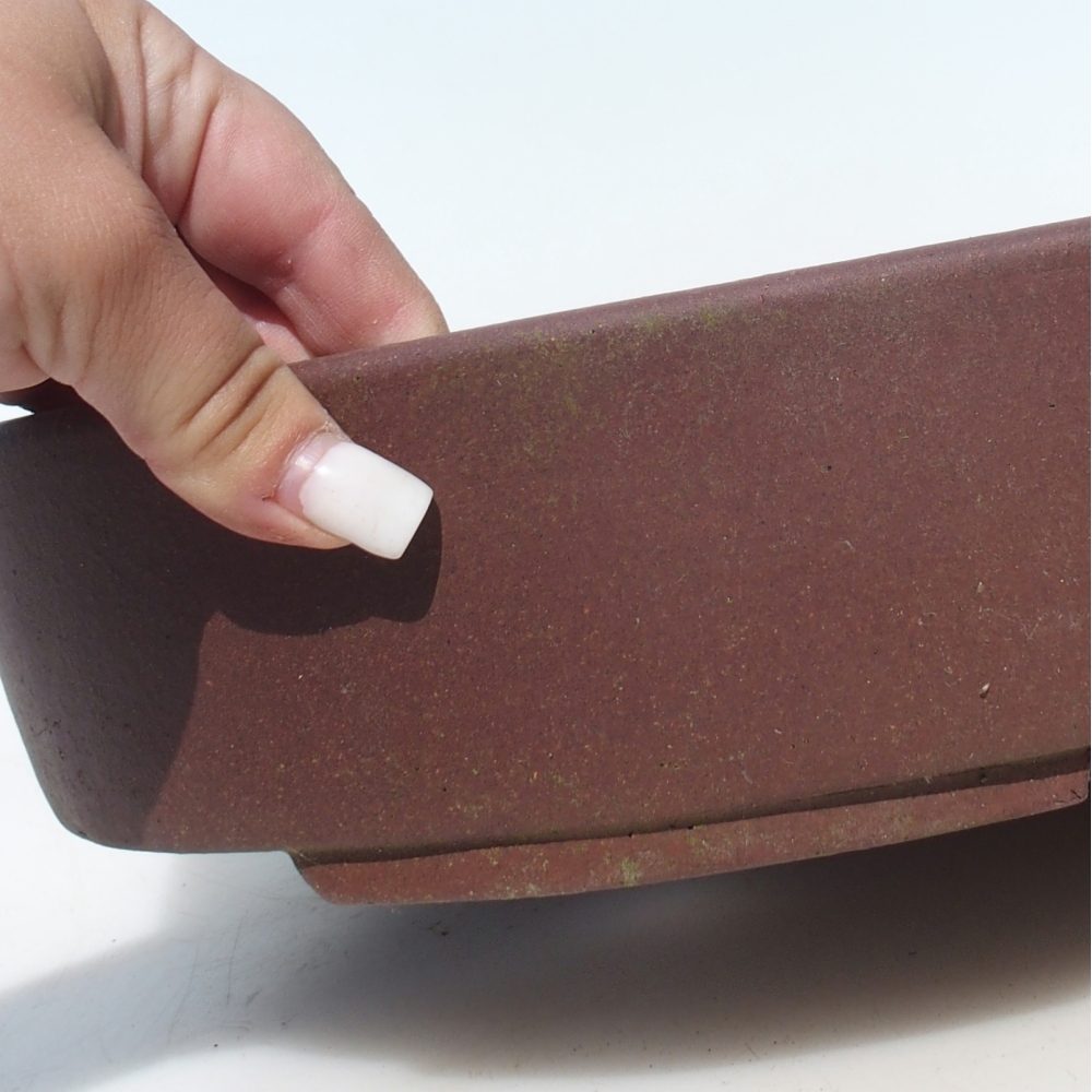 Ciotola per bonsai 40 x 30,5 x 7,5 cm - marrone