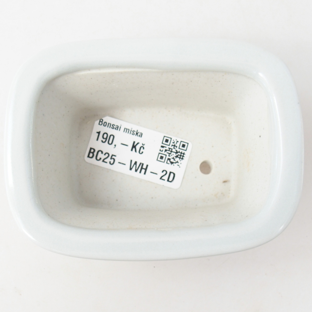 Mini bonsai 10 x 7,5 x 4 cm, colore bianco