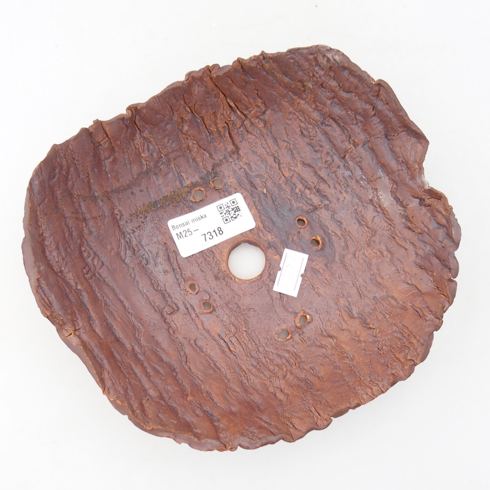 Conchiglia in ceramica 19 x 17 x 5 cm , colore marrone