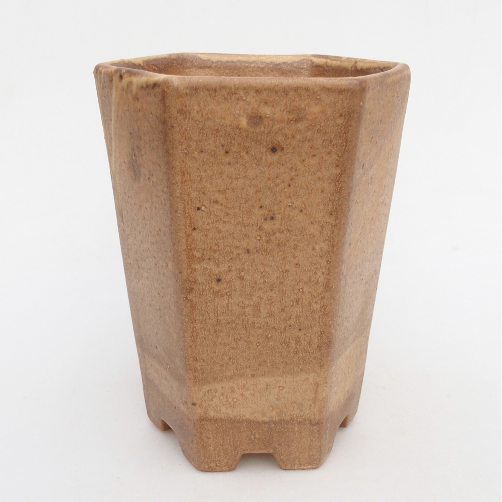 Ciotola per bonsai in ceramica 12,5 x 11,5 x 16,5 cm, marrone