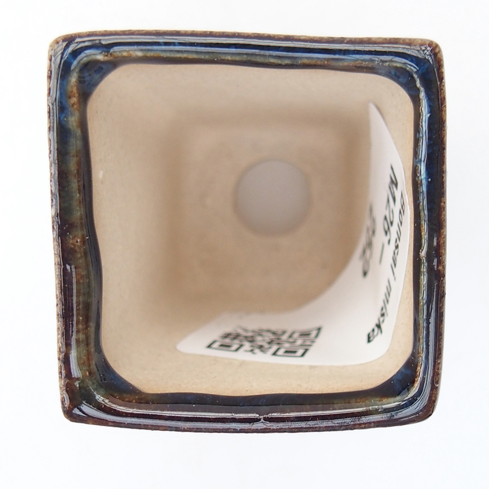 Mini bonsai 3,5 x 3,5 x 5 cm, colore blu