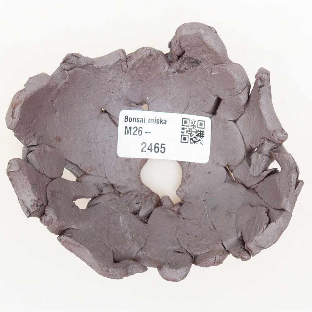 Guscio in ceramica  10,5 x 9,5 x 5 cm, colore metallizzato