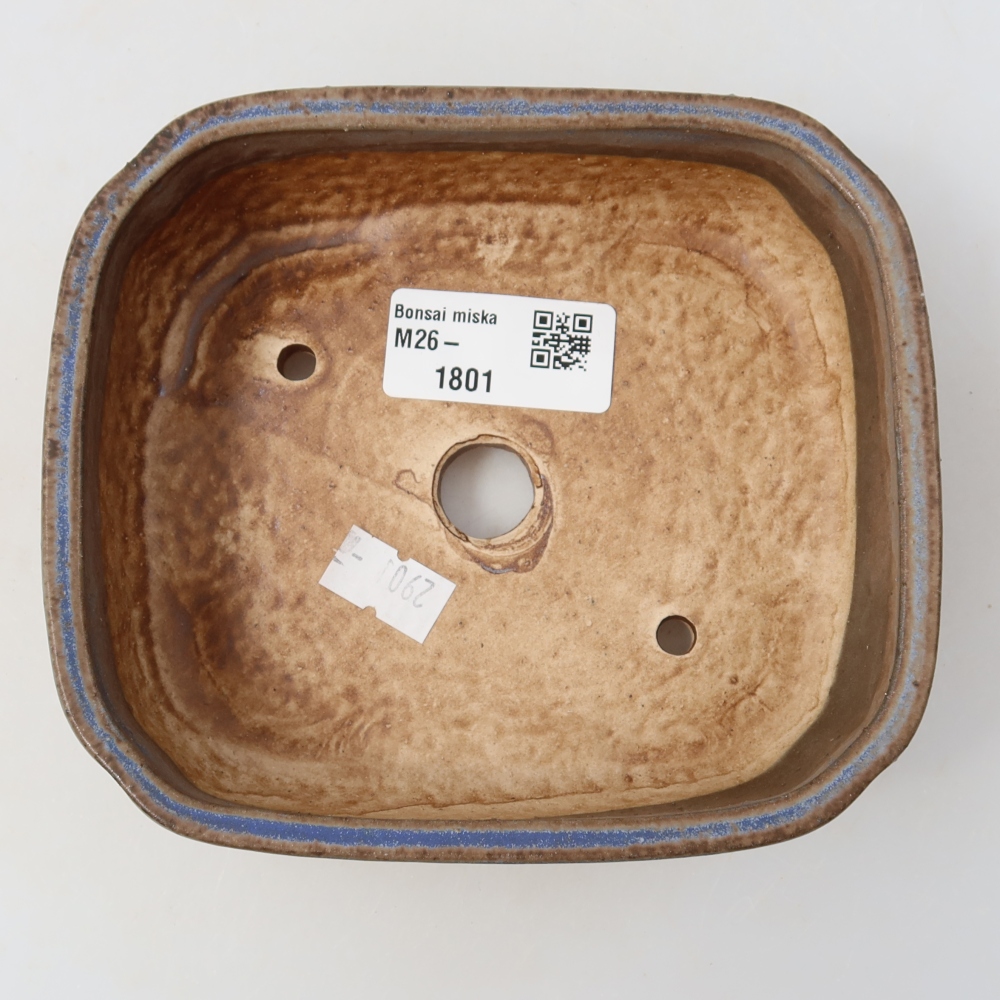 Vaso da bonsai in ceramica 14 x 12 x 4 cm, colore blu