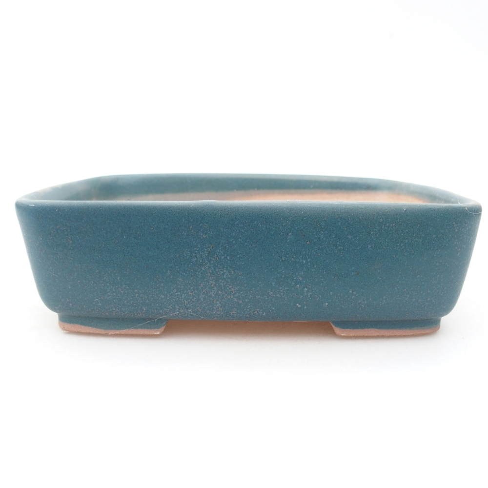 Ciotola per bonsai in ceramica 15 x 12 x 4,5 cm, colore blu