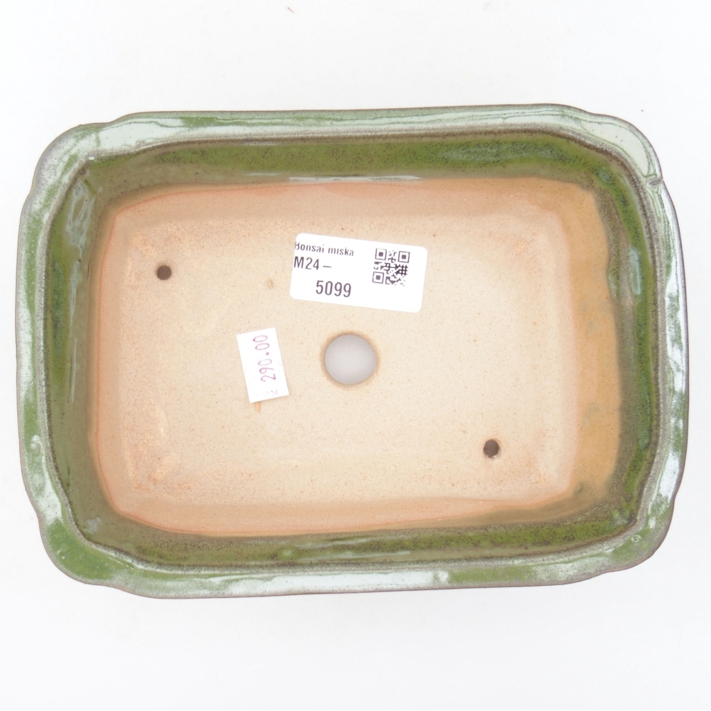 Ciotola per bonsai in ceramica 17,5 x 12,5 x 6 cm, verde