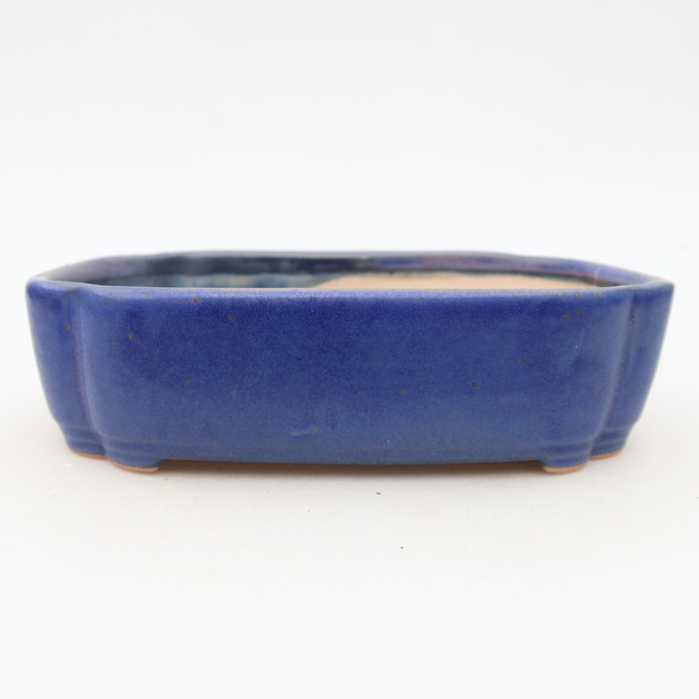 Ciotola bonsai in ceramica 16 x 11,5 x 4 cm, colore blu
