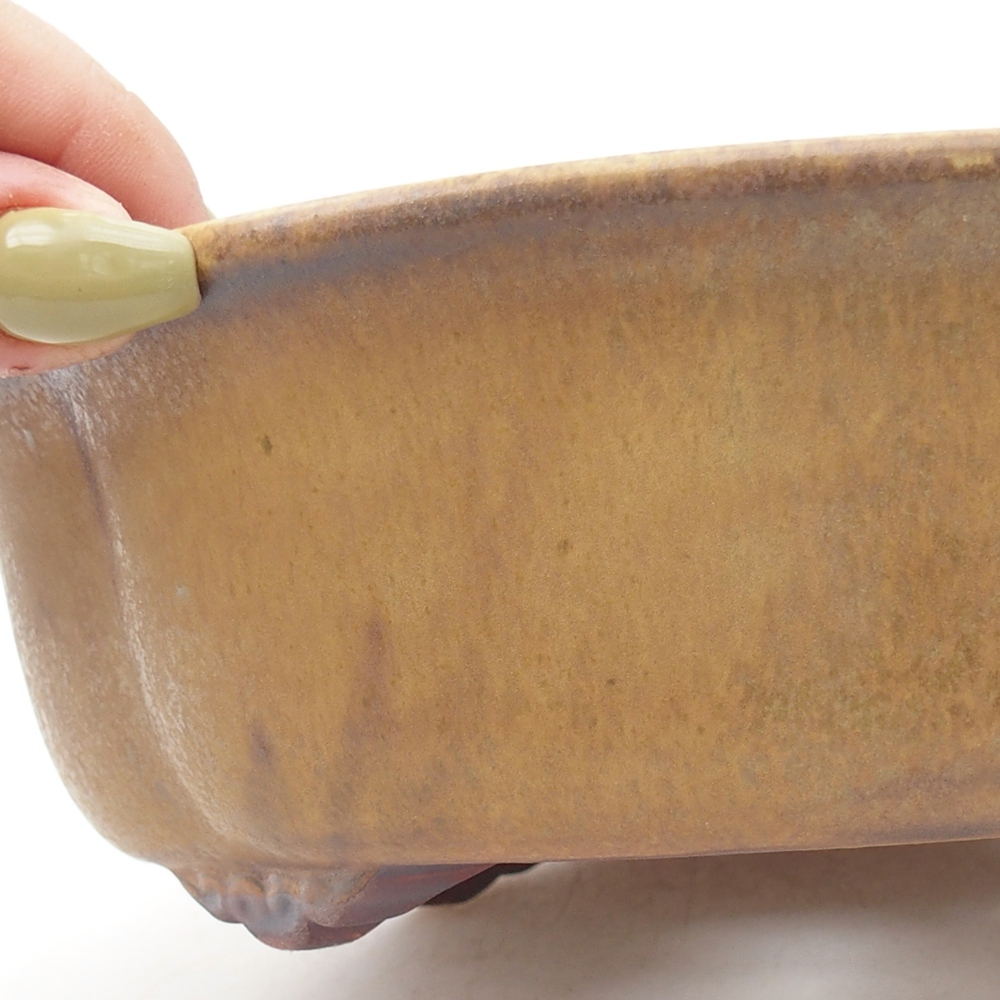 Ciotola bonsai in ceramica 19 x 17 x 6 cm, verde