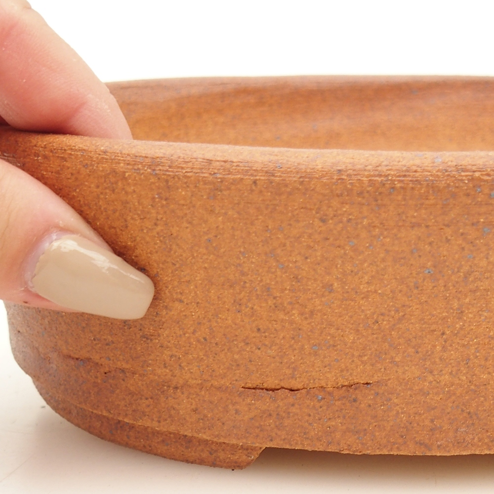 Ciotola per bonsai 20 x 16 x 6 cm , colore marrone