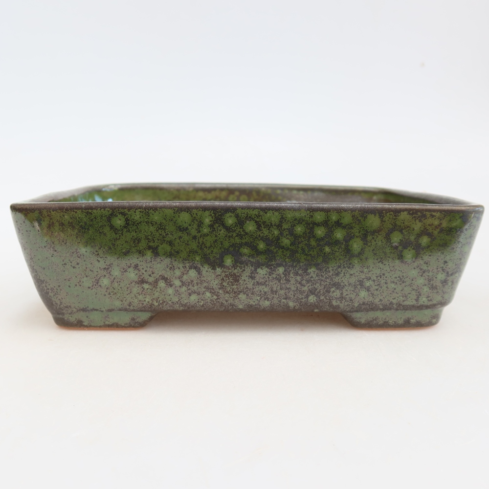 Ciotola bonsai in ceramica 18 x 13 x 5 cm, verde