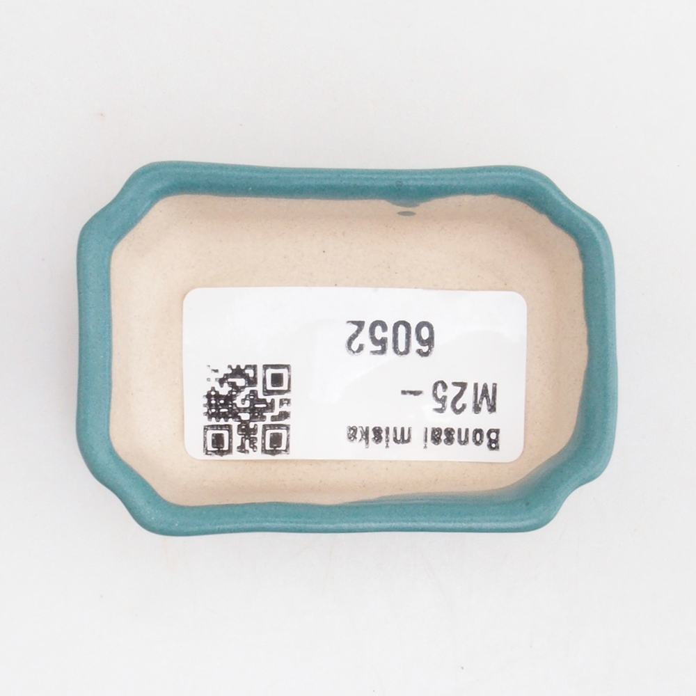 Ciotola bonsai in ceramica 6,5 x 5,5 x 4 cm, colore blu