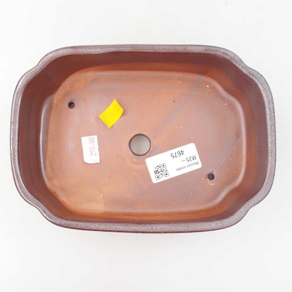 Ciotola per bonsai in ceramica 18 x 13 x 5 cm, marrone