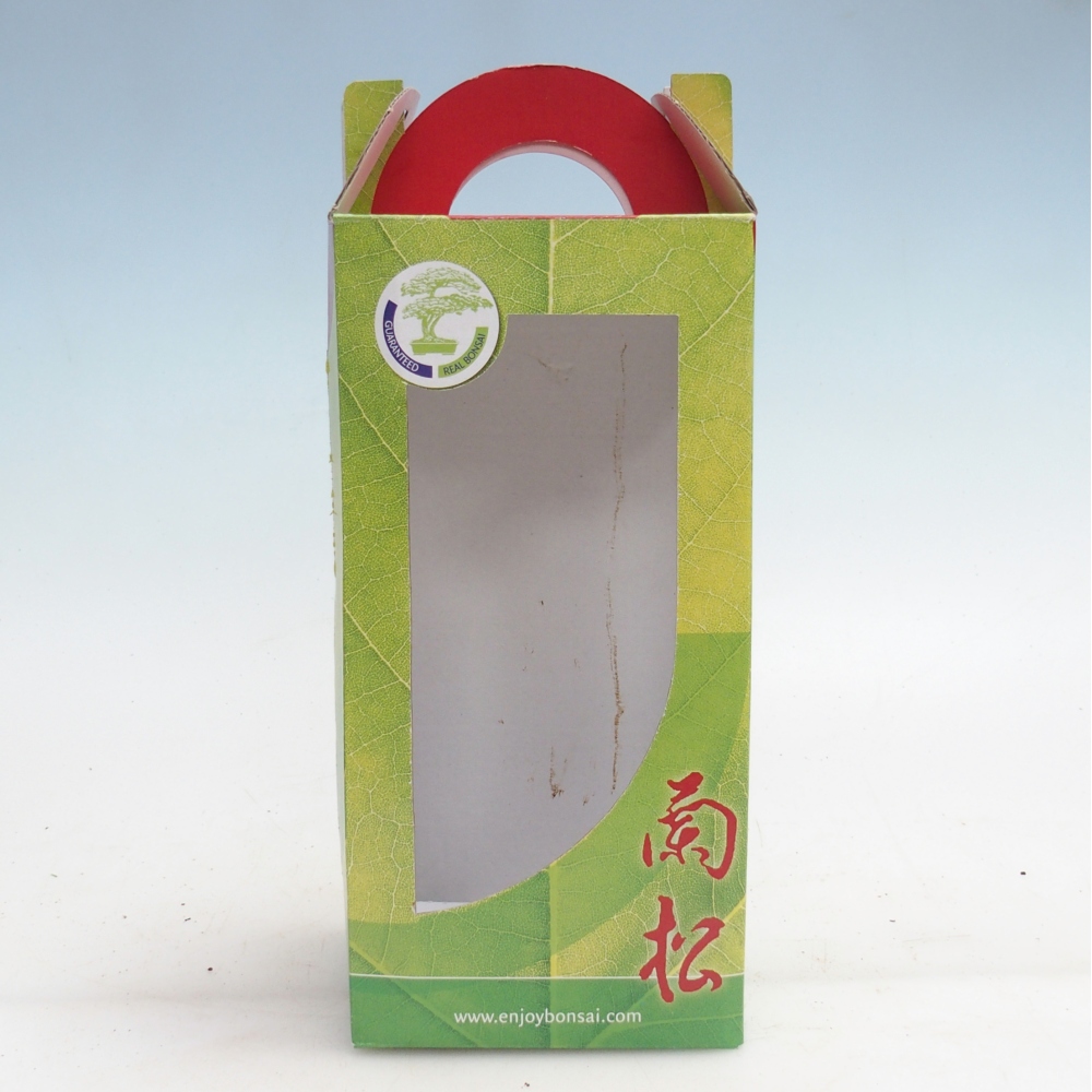 Scatola regalo per bonsai - carta