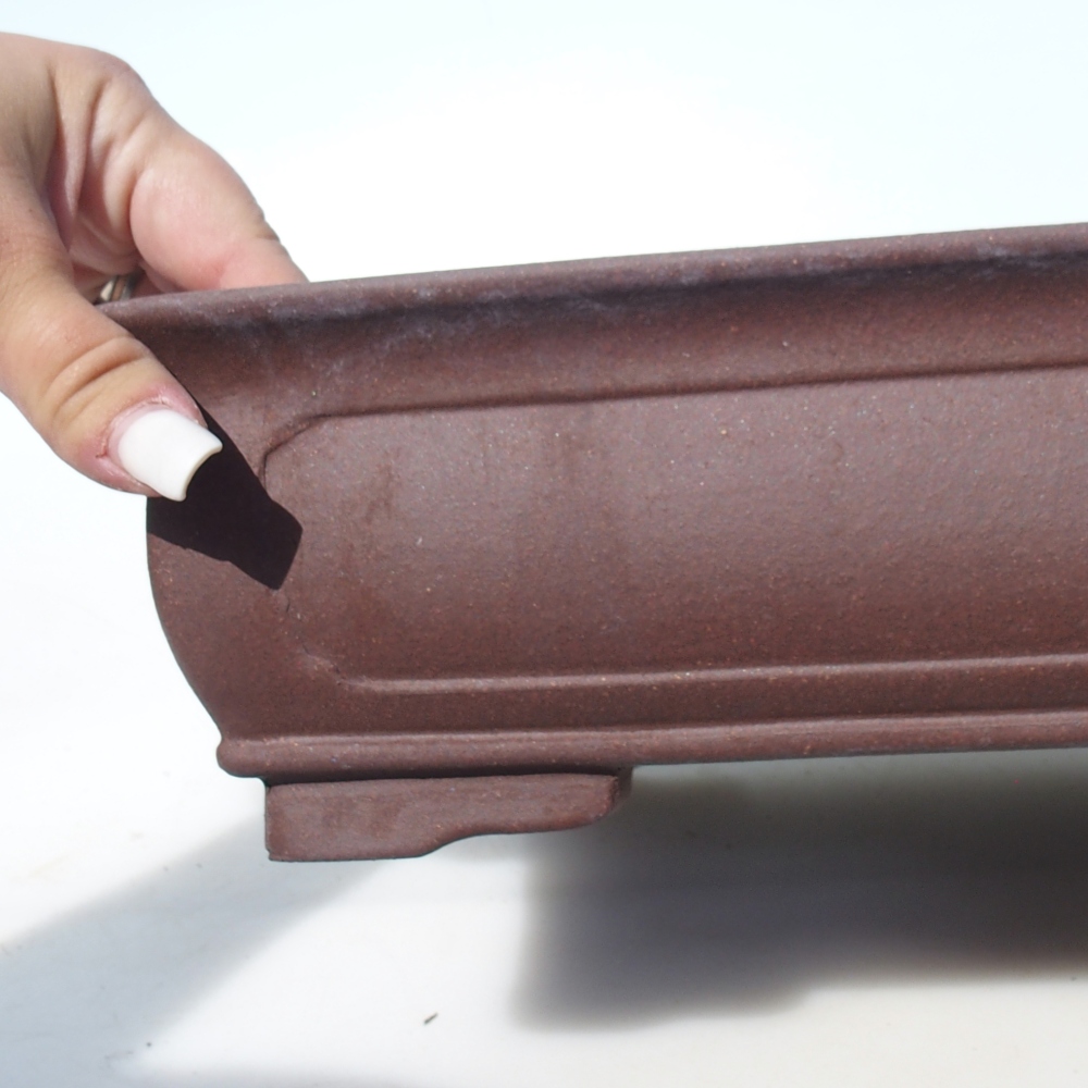 Ciotola per bonsai 34,5 x 25,5 x 8,5 cm betulla marrone