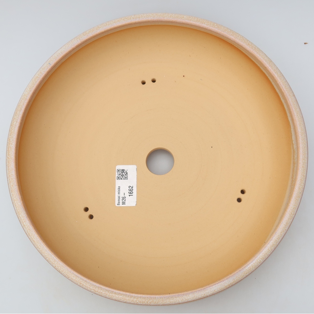 Vaso da bonsai in ceramica 26,5 x 26,5 x 5,5 cm, colore beige