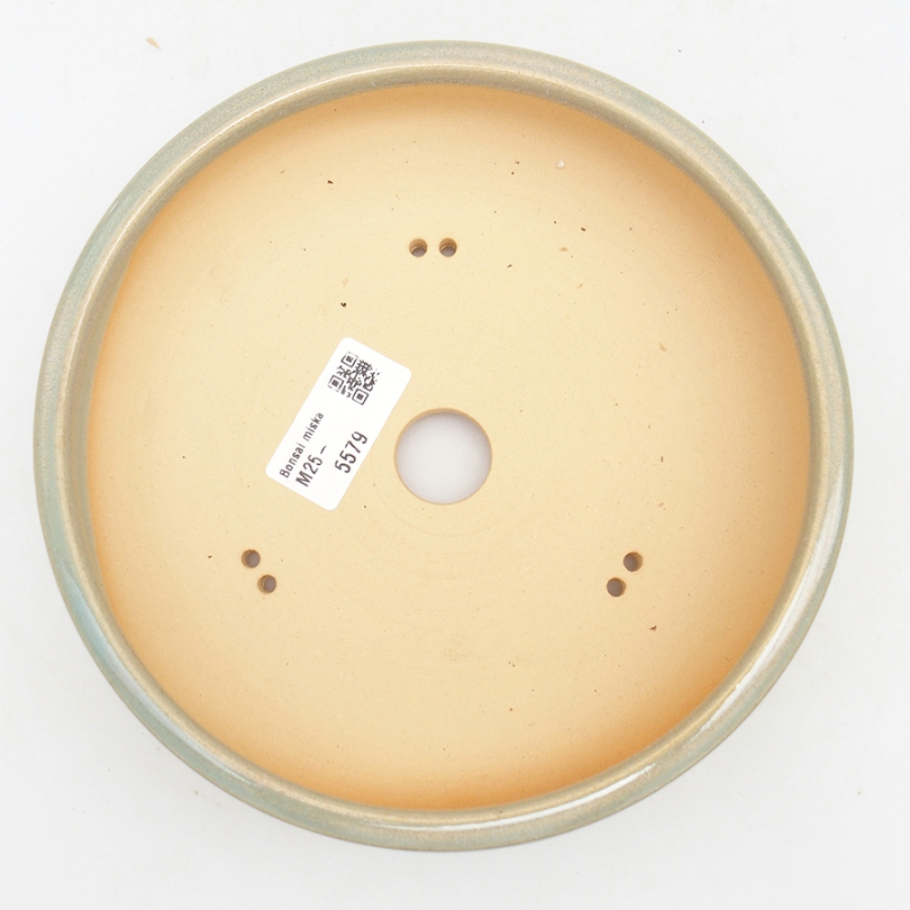 Ciotola per bonsai in ceramica 18 x 18 x 5,5 cm, verde