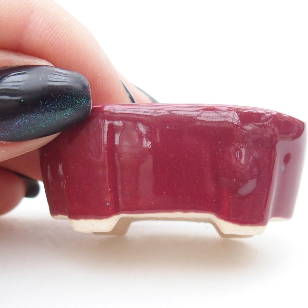 Mini bonsai 4,5 x 2,5 x 2 cm, colore bordeaux