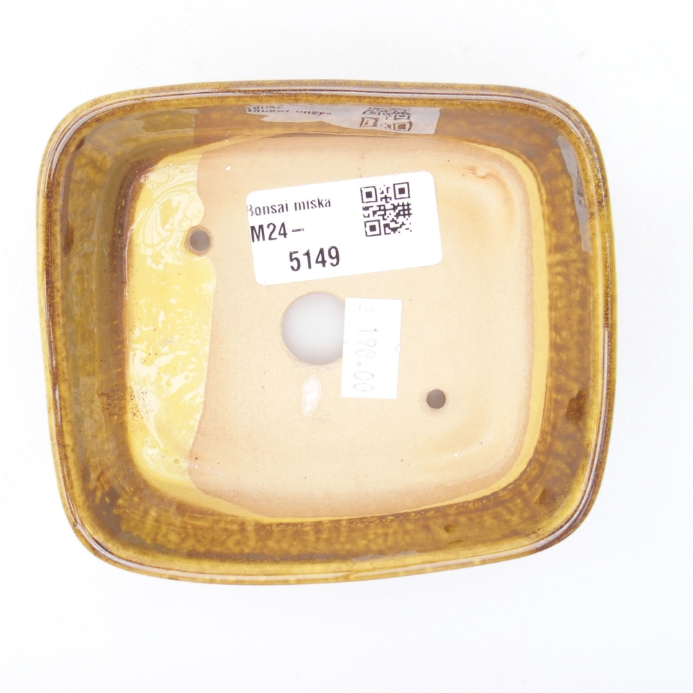 Ciotola per bonsai in ceramica 11 x 9,5 x 4,5 cm, giallo