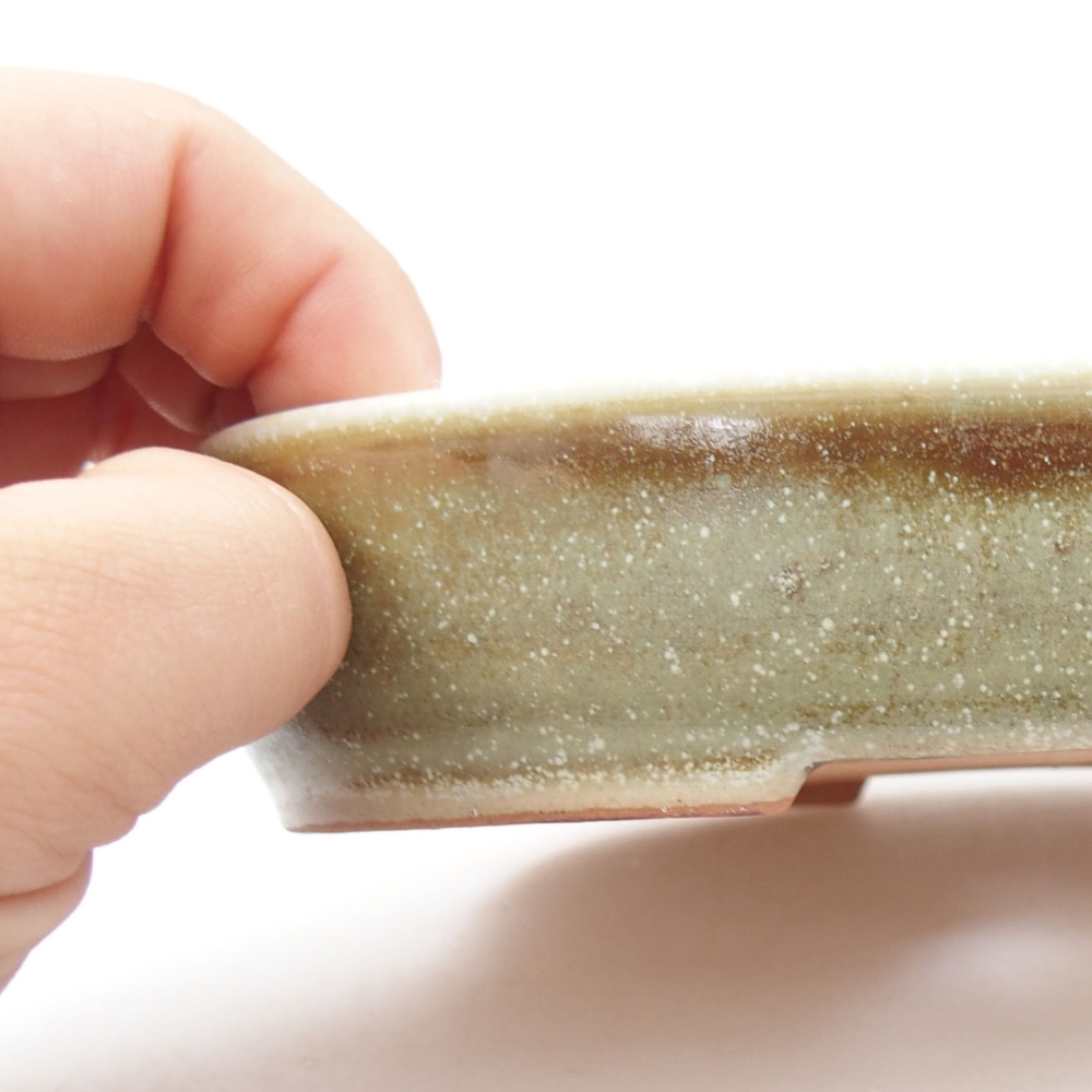 Ciotola bonsai in ceramica 22 x 17 x 5 cm, verde