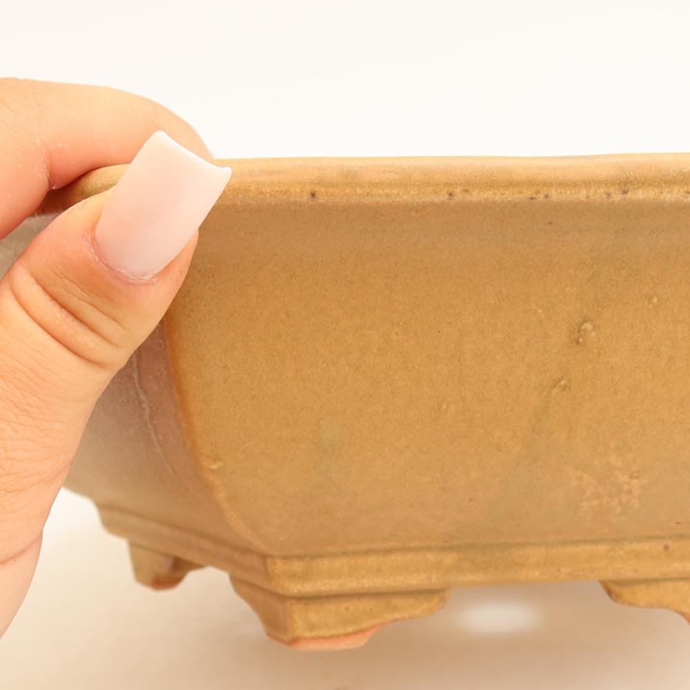 Vaso da bonsai in ceramica 24 x 21,5 x 7,5 cm, colore beige