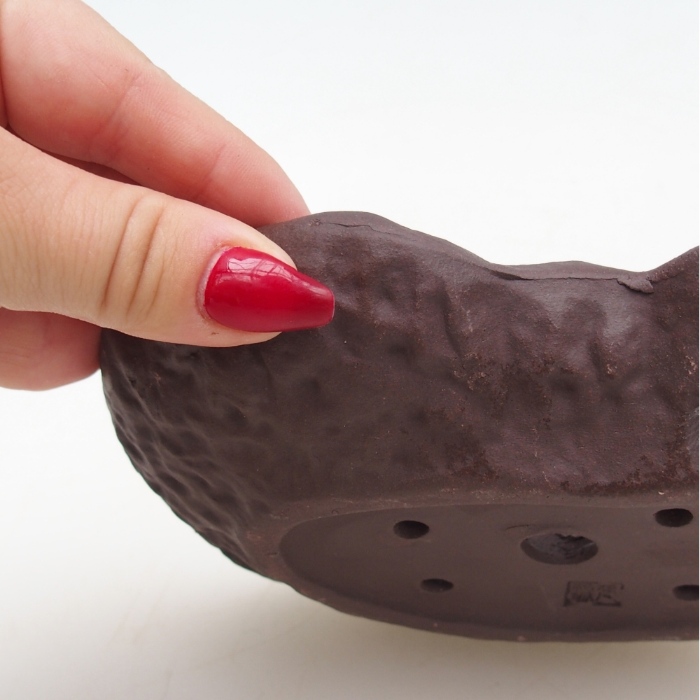 Conchiglia in ceramica 17 x 12 x 3 cm , colore marrone