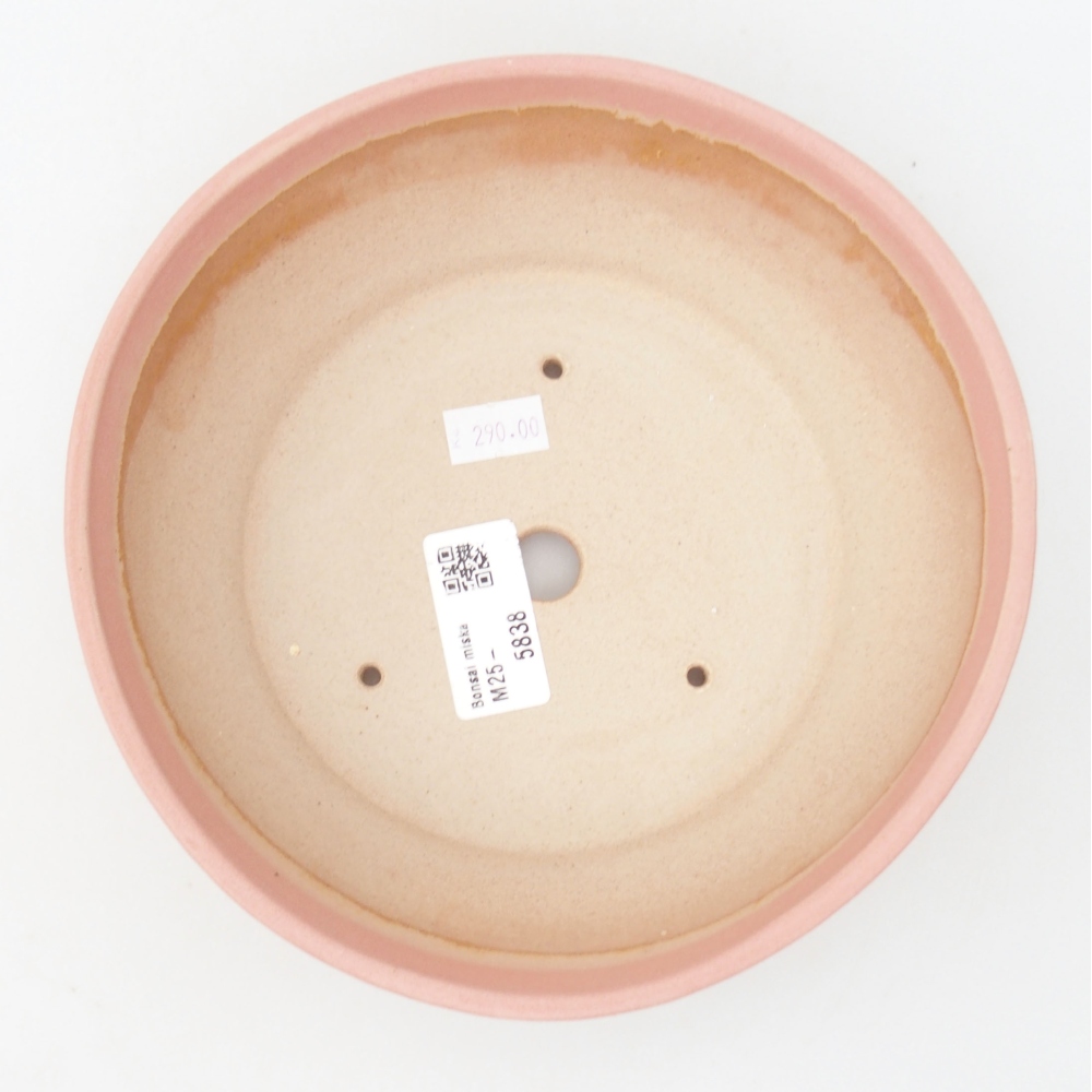 Ciotola bonsai in ceramica 22 x 17 x 5 cm, verde