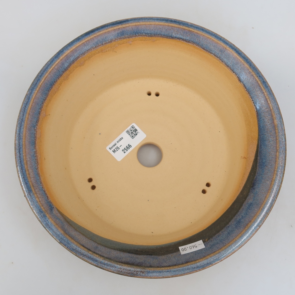 Ciotola bonsai in ceramica 24,5 x 24,5 x 7 cm, colore blu