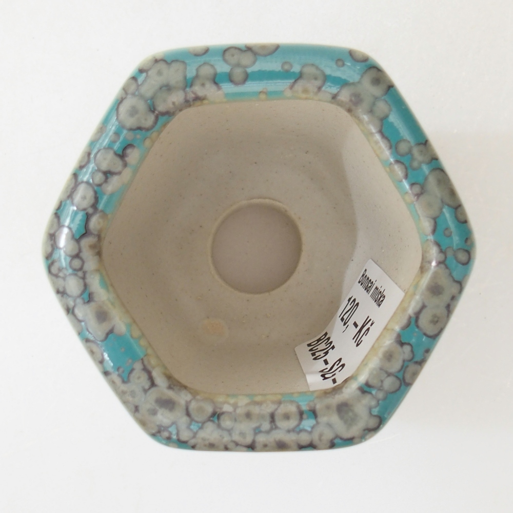 Ciotola 5,5 x 5 x 5,5 cm colore blu