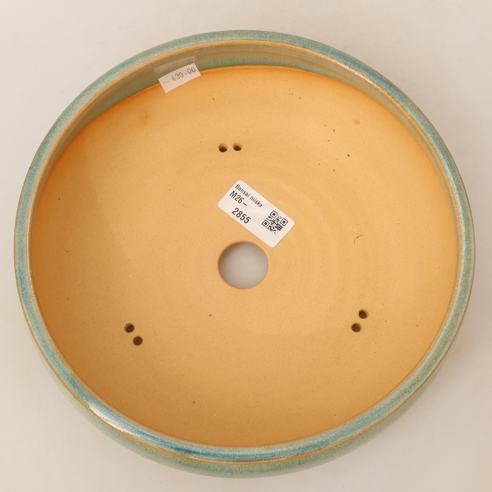 Vaso da bonsai in ceramica 21,5 x 21,5 x 6,5 cm, colore verde