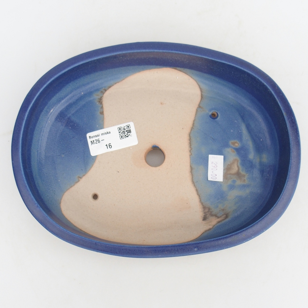 Ciotola bonsai in ceramica 22,5 x 17 x 4,5 cm, colore blu