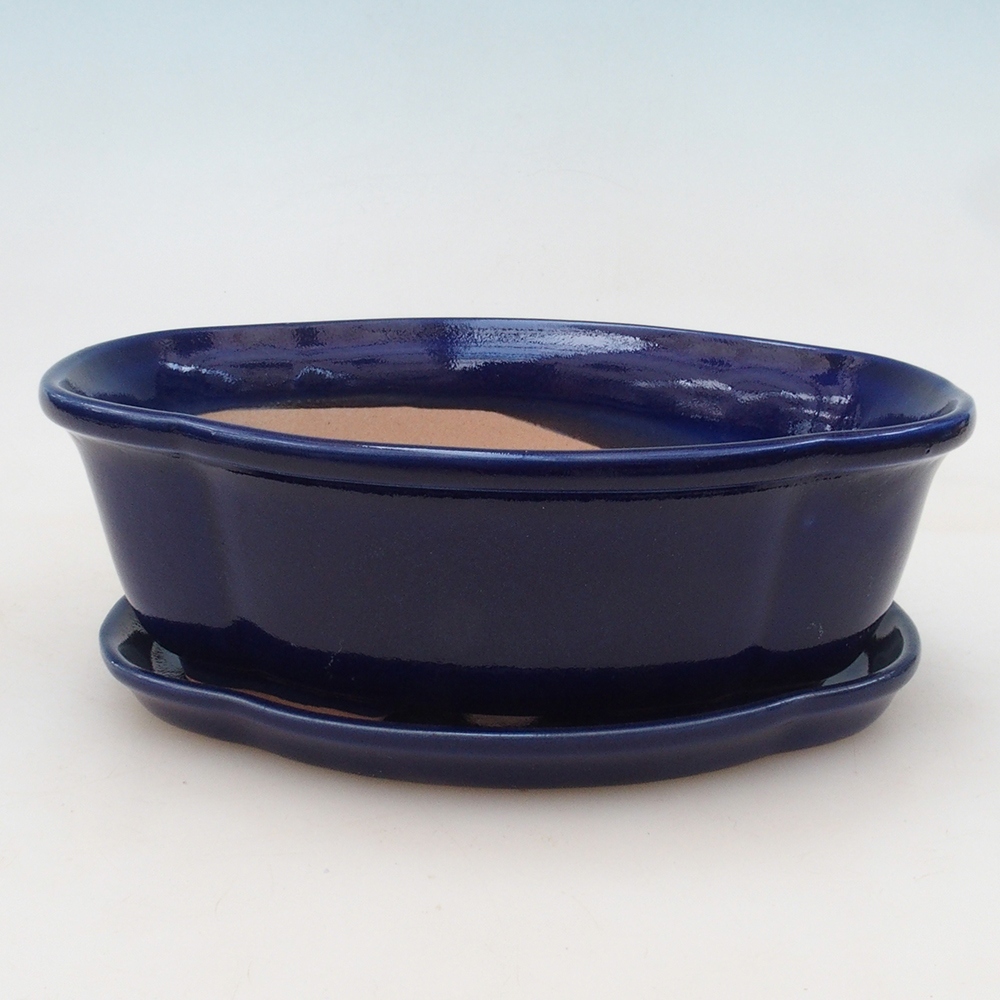 Ciotola bonsai + piattino H75 - blu