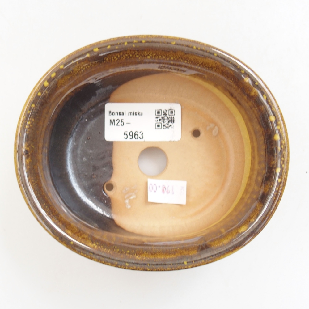 Ciotola bonsai in ceramica 22 x 17 x 5 cm, verde