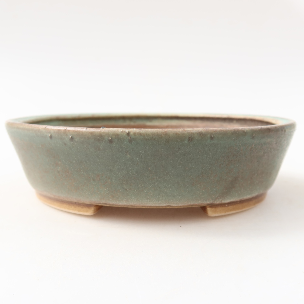 Ciotola per bonsai in ceramica 15 x 14 x 4 cm, verde