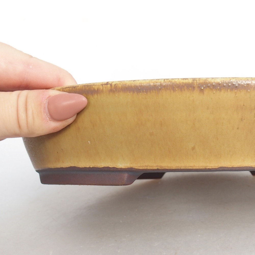 Ciotola bonsai in ceramica 22,5 x 20 x 4,5 cm, verde