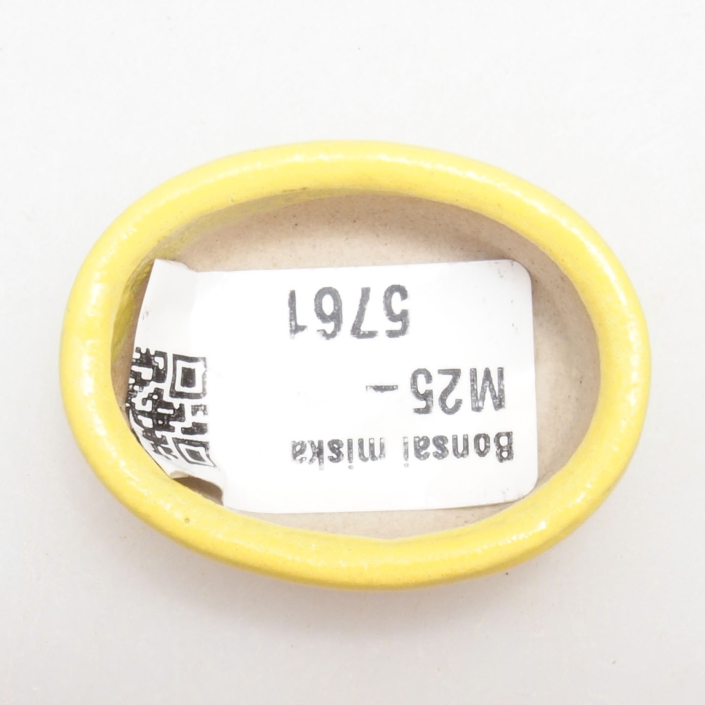 Ciotola bonsai in ceramica 4 x 3 x 1,5 cm, giallo